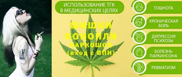 PSILOCYBIN Абаза