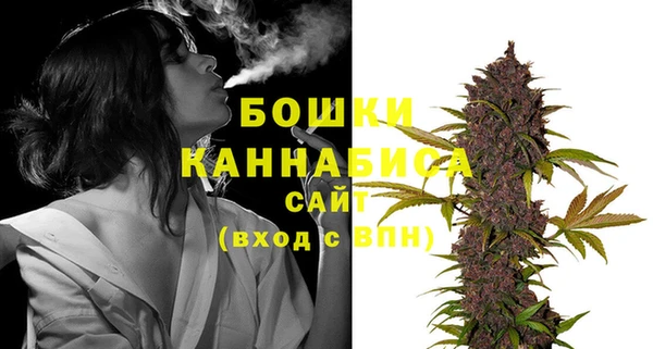 PSILOCYBIN Абаза