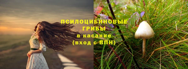 мяу мяу мука Абинск