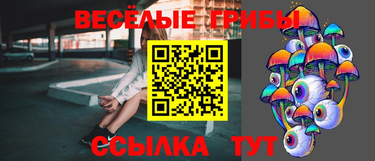 ГАШ Истра
